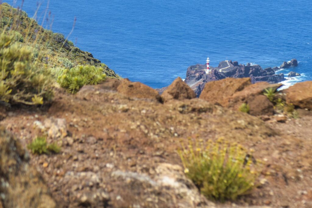 Punta de Teno